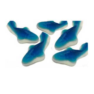 Blue Gummy Sharks 30 Lbs